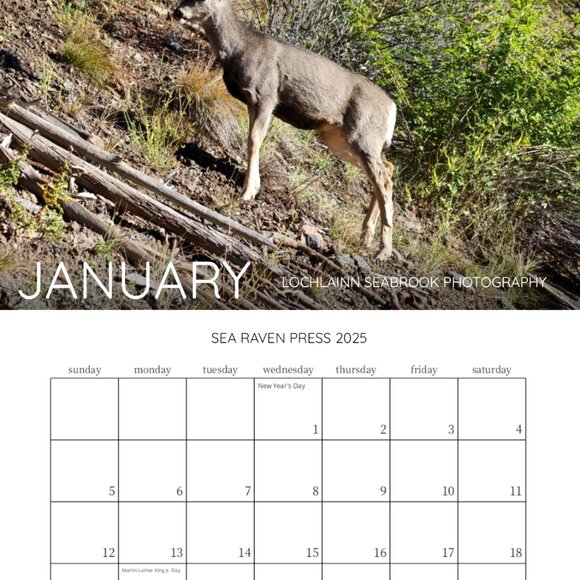 Mini 2025 Rocky Mountain Custom Wildlife Calendar For Small Spaces 11.5" x 8" - Picture 2 of 13